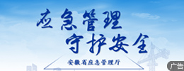 安徽省应急管理厅