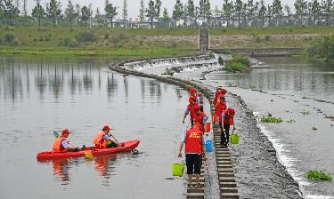 多种活动迎接世界环境日