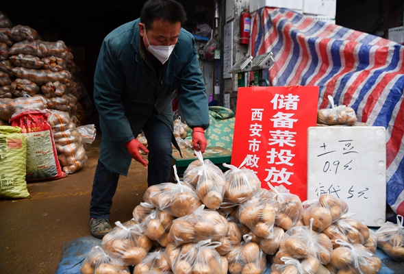 西安：节前投放储备菜 丰富群众菜篮子