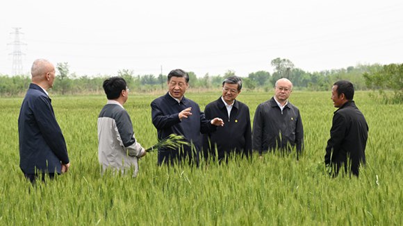 镜观·领航｜在田间地头，总书记关心农业科技创新