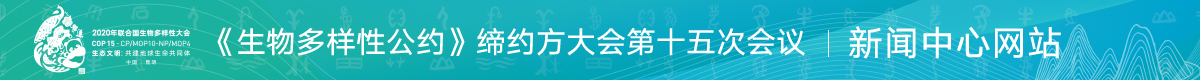 《生物多样性公约》缔约方大会第十五次会议（COP15）