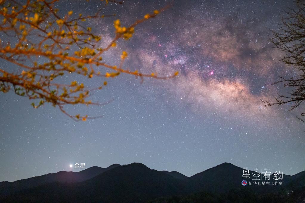 6月“天象剧场”：看熠熠金星，赏“飞龙在天”