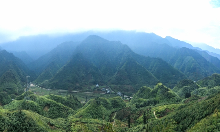 云南大关：竹海绵延 风景如画